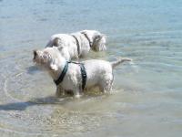 Klik op de foto voor groter formaat